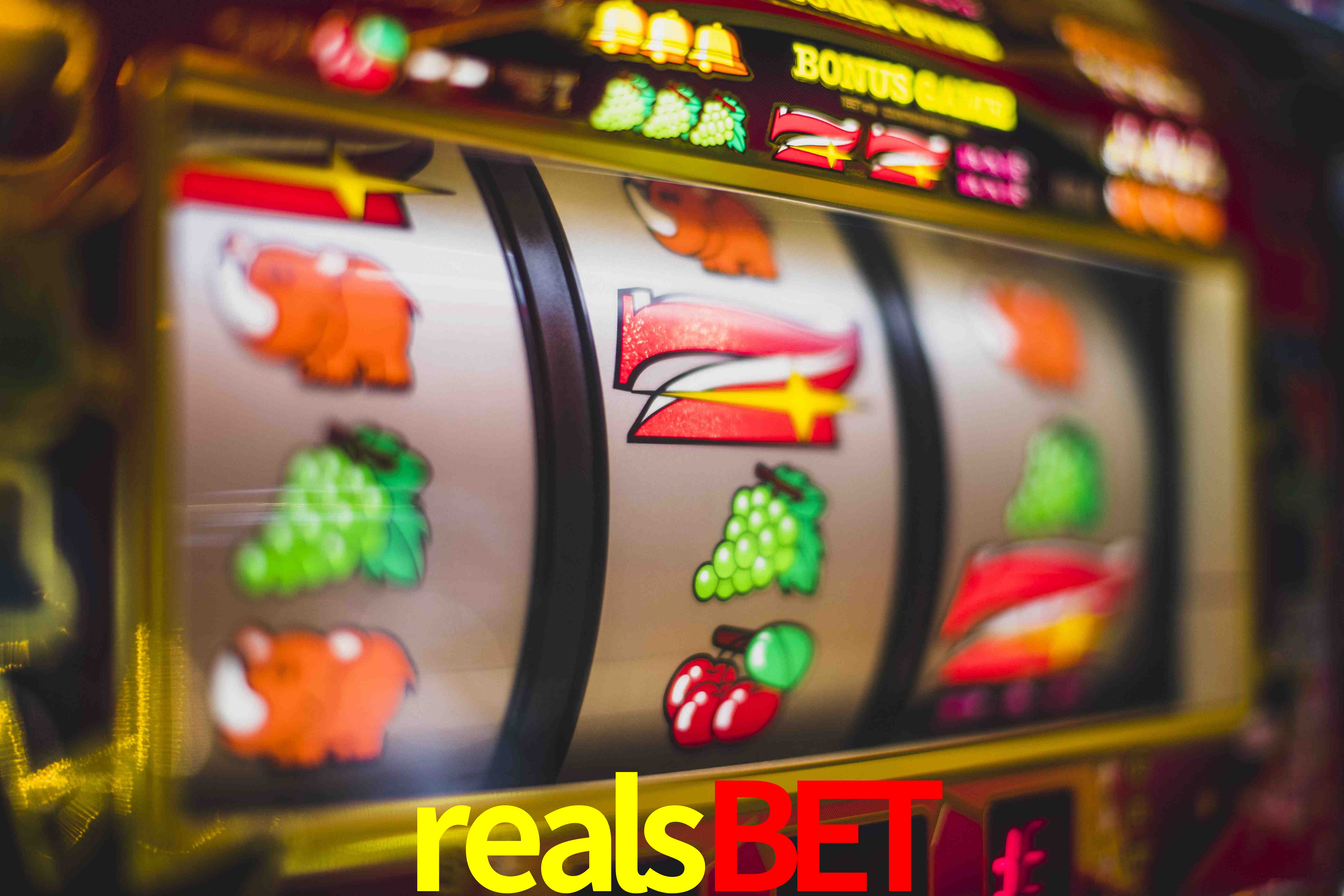 Sports Statistics realsbet