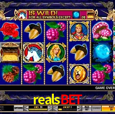 Descubra a Magia dos Jogos de Arcade no realsbet